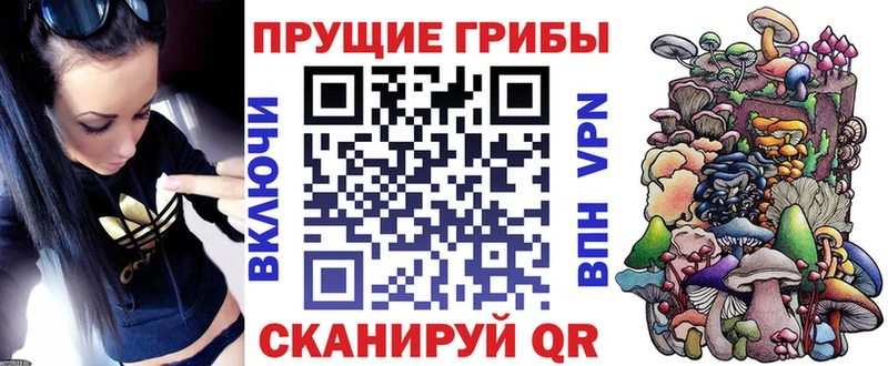 Купить  Нолинск  Псилоцибиновые грибы мицелий 